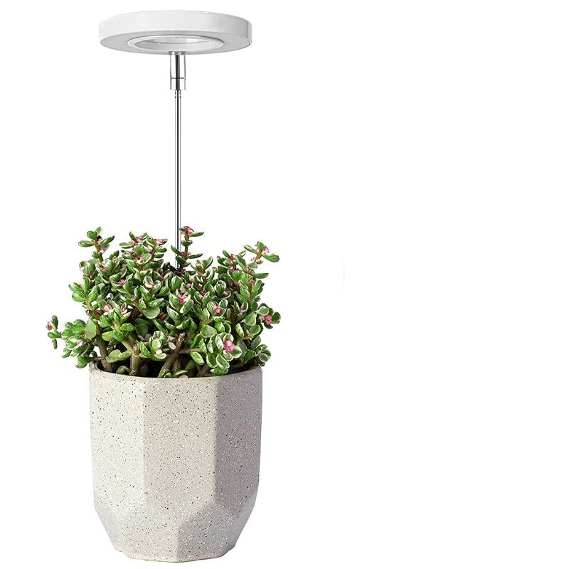 Grow Lights for Indoor Plants, LEDs Full Spectrum Halo Plant Light for Indoor Plants, Height Adjustable Growing Lamp with Detachable Base, 2/4/8Hrs Timer, 4 Brightness, 2-Pack - Image 5