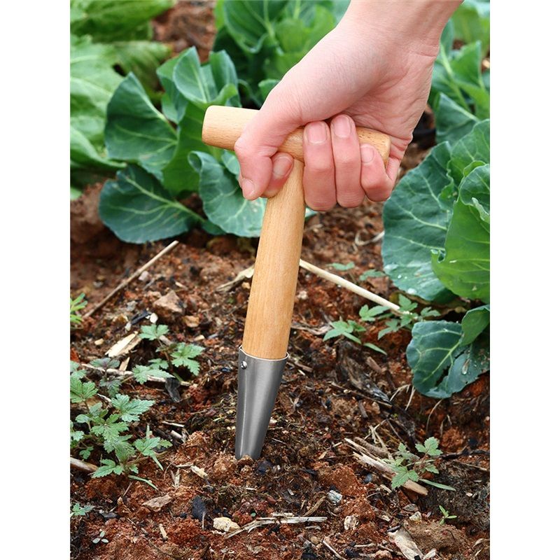 Planter Tool for Planting Seeds & Bulbs - High Carbon Steel & Comfortable Wood Carved Handle - for Consistent Planting Flowers Tulips, Daffodils, Dahlias - Image 3