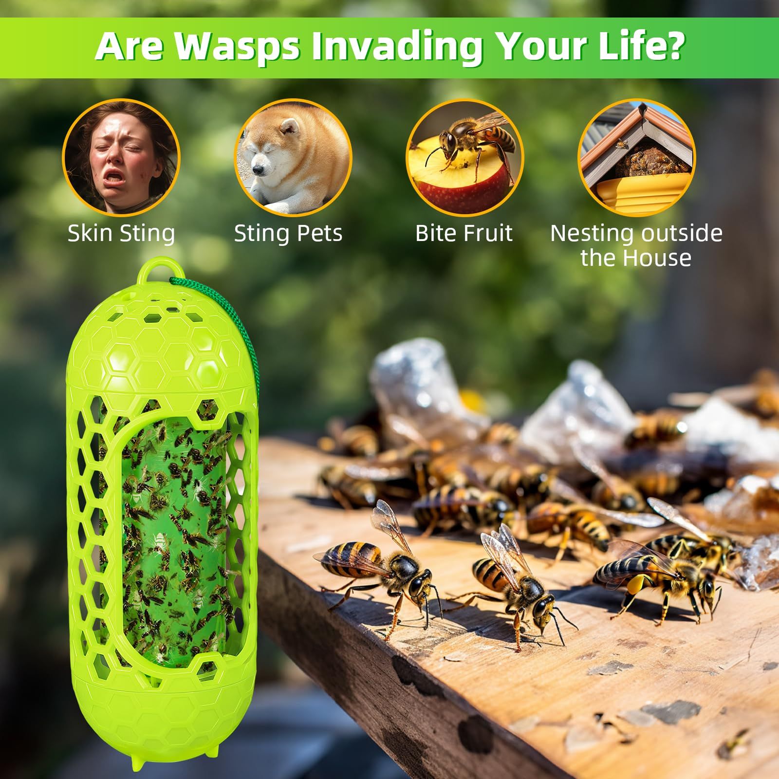 2 Pack Wasp Trap for Outdoor Use Safe & Reusable Wasp Catcher, Effective Hanging Yellow Jacket Trap for Wasps, 4 PCS Refillable Sticky Papers - Image 2