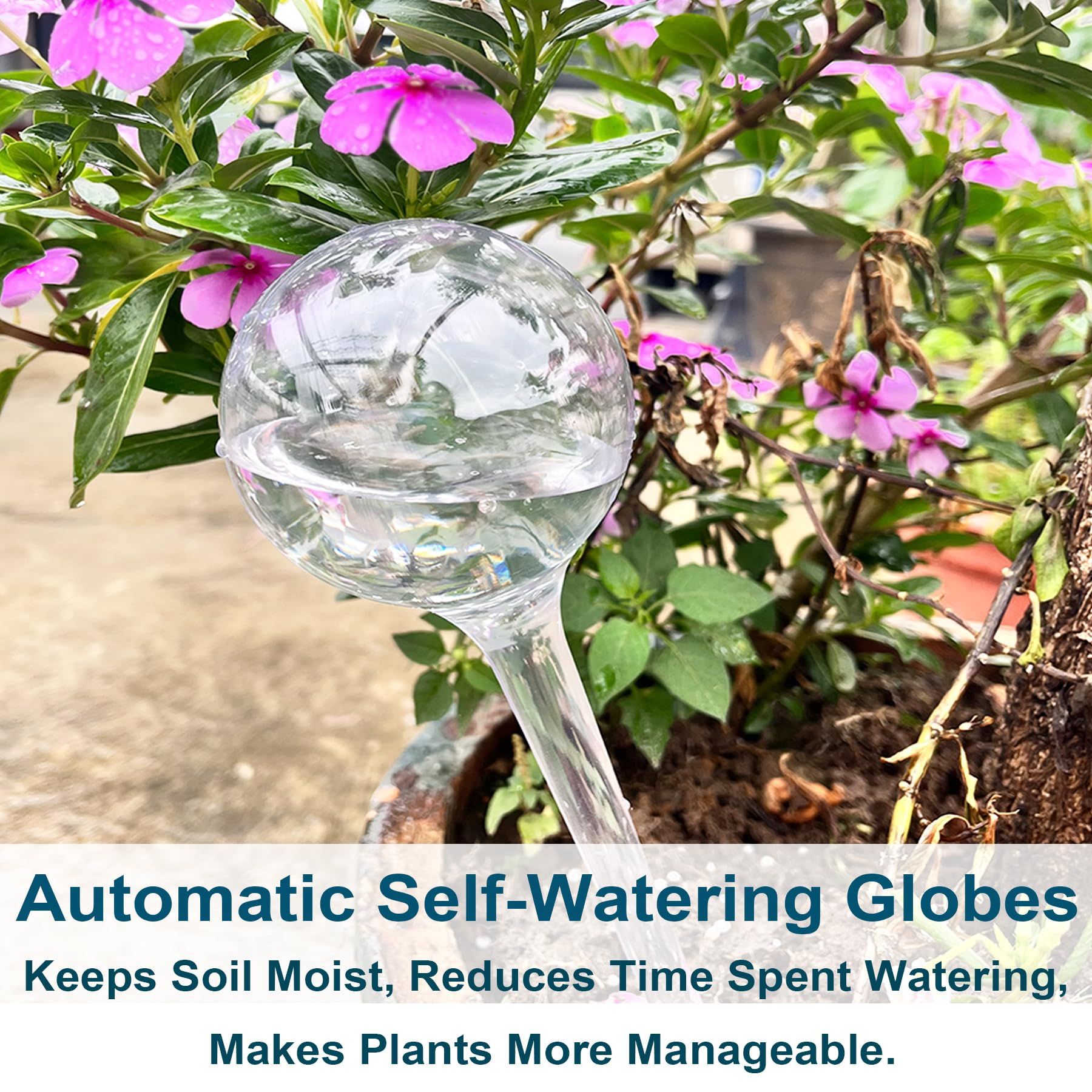 Plant Automatic Watering Devices, Clear Plastic Self-Watering Bulbs Flower Automatic Watering Device While Away Garden Waterer for Plant Indoor Outdoor 10pcs(13*5cm) - Image 5