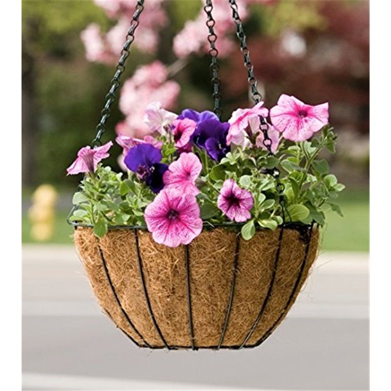 Series Hanging Basket, 8-Inch with Chain Metal Hanging Baskets for Plants Outdoor Hanging Flower Pots Outdoor Decorative Round Wire Plant Holder - Image 3