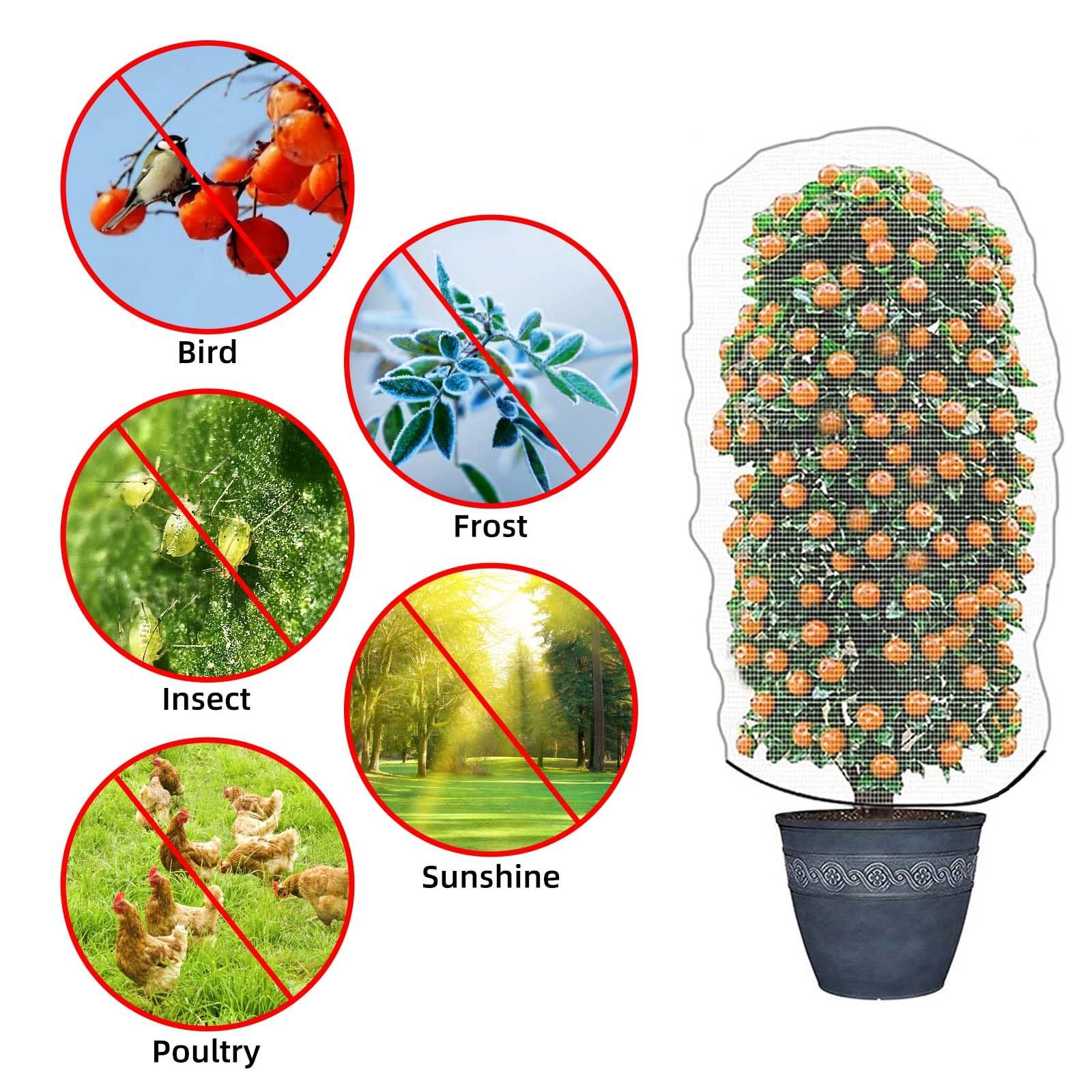Garden Mesh Netting for Plants, 4 Pack Insect Bird Barrier Net Mesh with Drawstring, 1*1m Garden Bug Netting Plant Cover for Protect Fruit Tree Vegetable Flower - Image 3