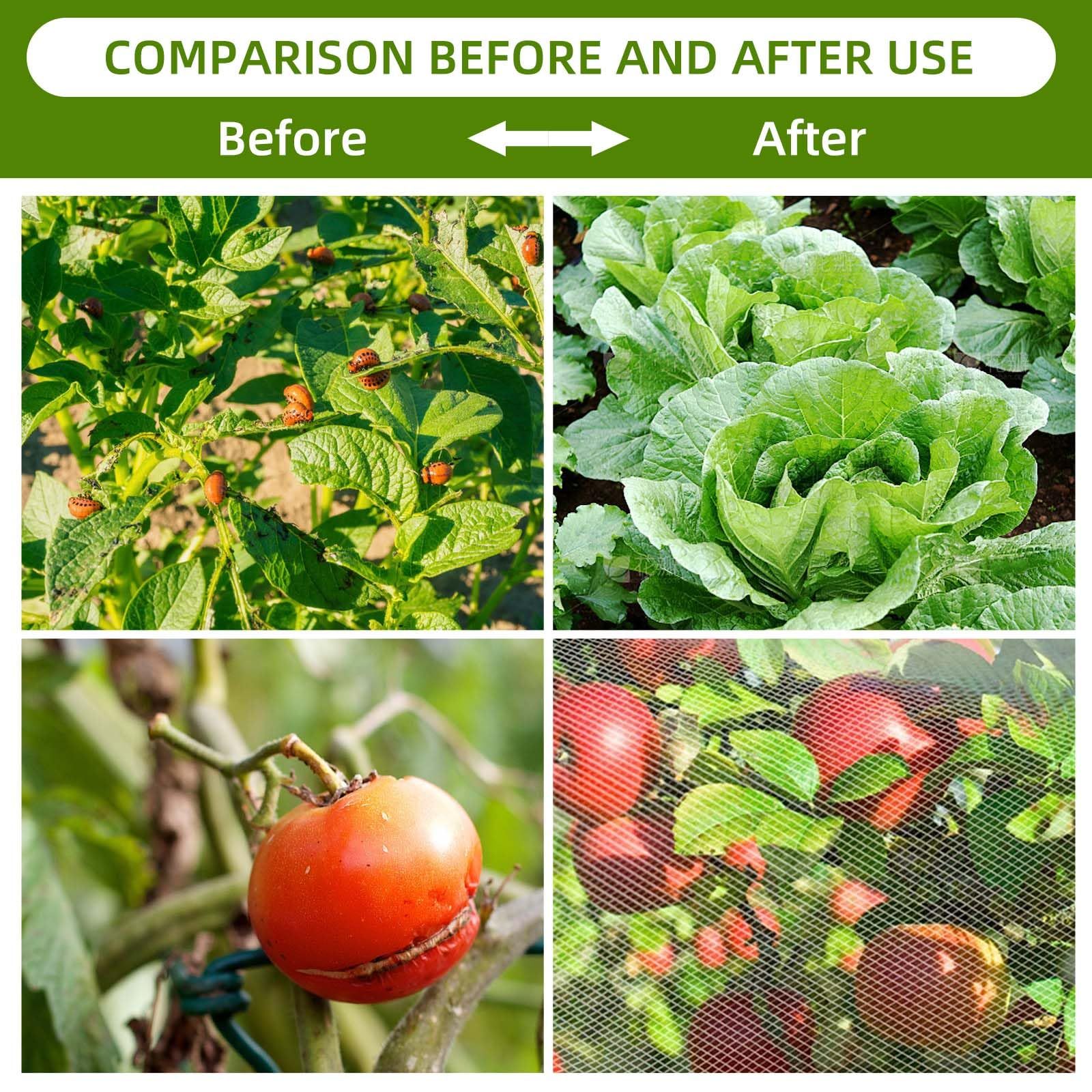 Garden Mesh Netting for Plants, 4 Pack Insect Bird Barrier Net Mesh with Drawstring, 1*1m Garden Bug Netting Plant Cover for Protect Fruit Tree Vegetable Flower - Image 5
