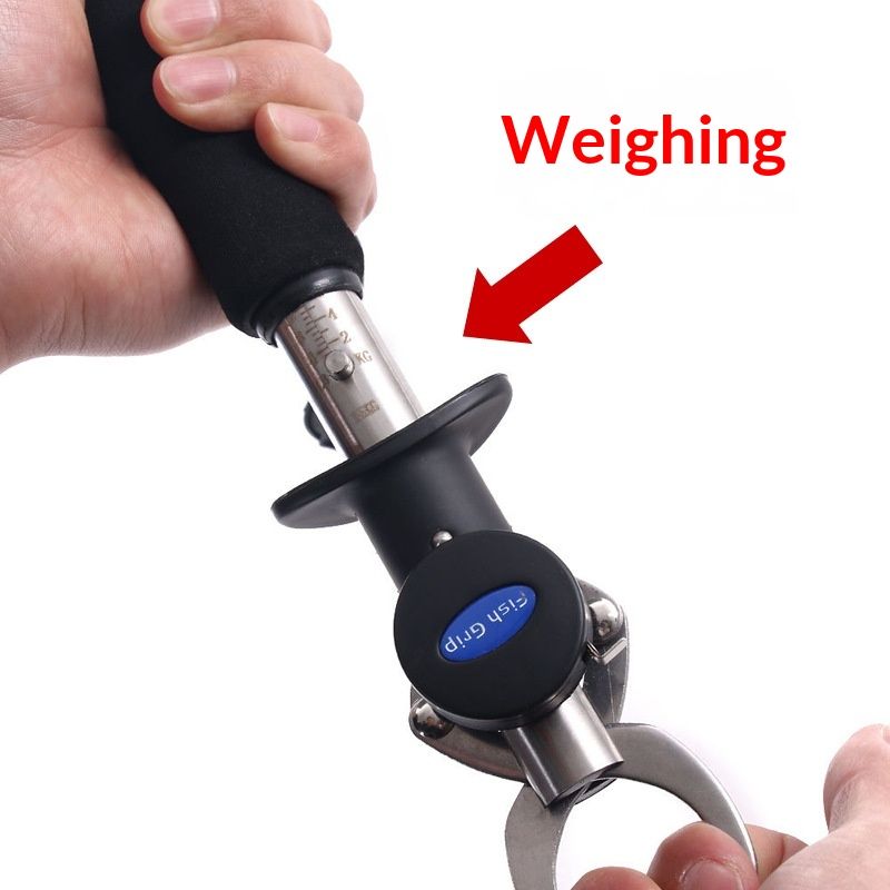Fish Lip Gripper with Weight Scale and Measuring Tape Fish Scales Grip Grabber Professional Fish Holder Stainless Steel Fish Lip Grabber Fish Lip Grip Tool - Image 2