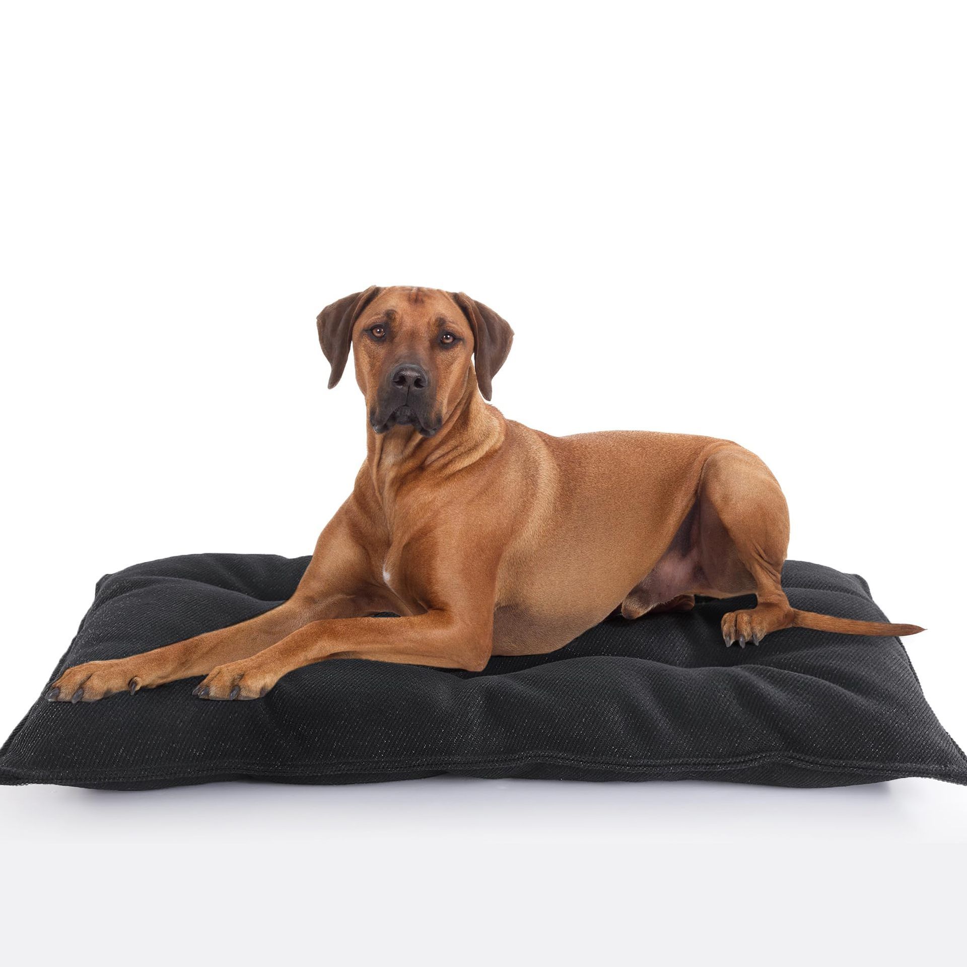 Chew Proof Indestructible Dog Beds for Aggressive Chewers,Durable Dog Crate Pad,Washable Tough Pet Mats for Kennel,Black,S 43*58cm - Image 1