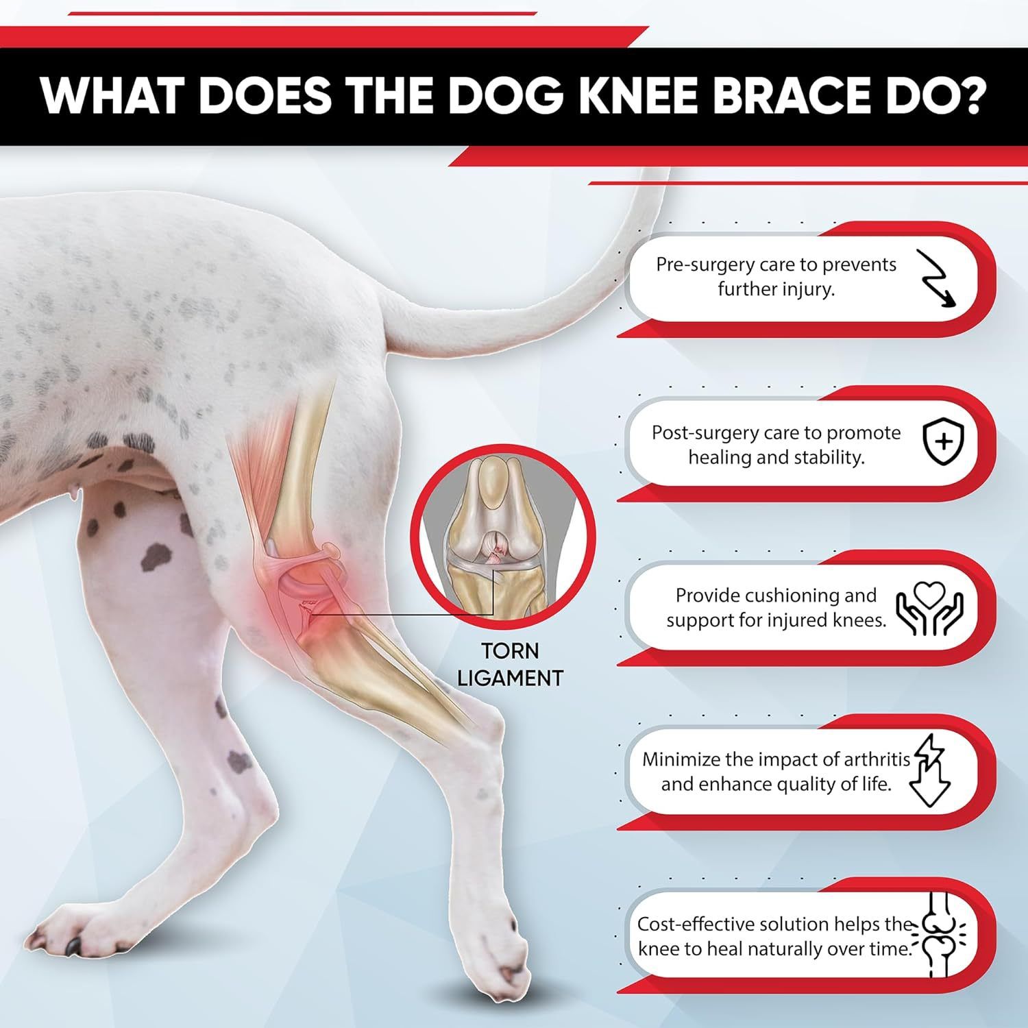Dog Knee Brace Dog Brace Hind Leg Dog Knee Brace with Extra Collar and Support Treats Kneecap Dislocation Arthritis（S） - Image 3