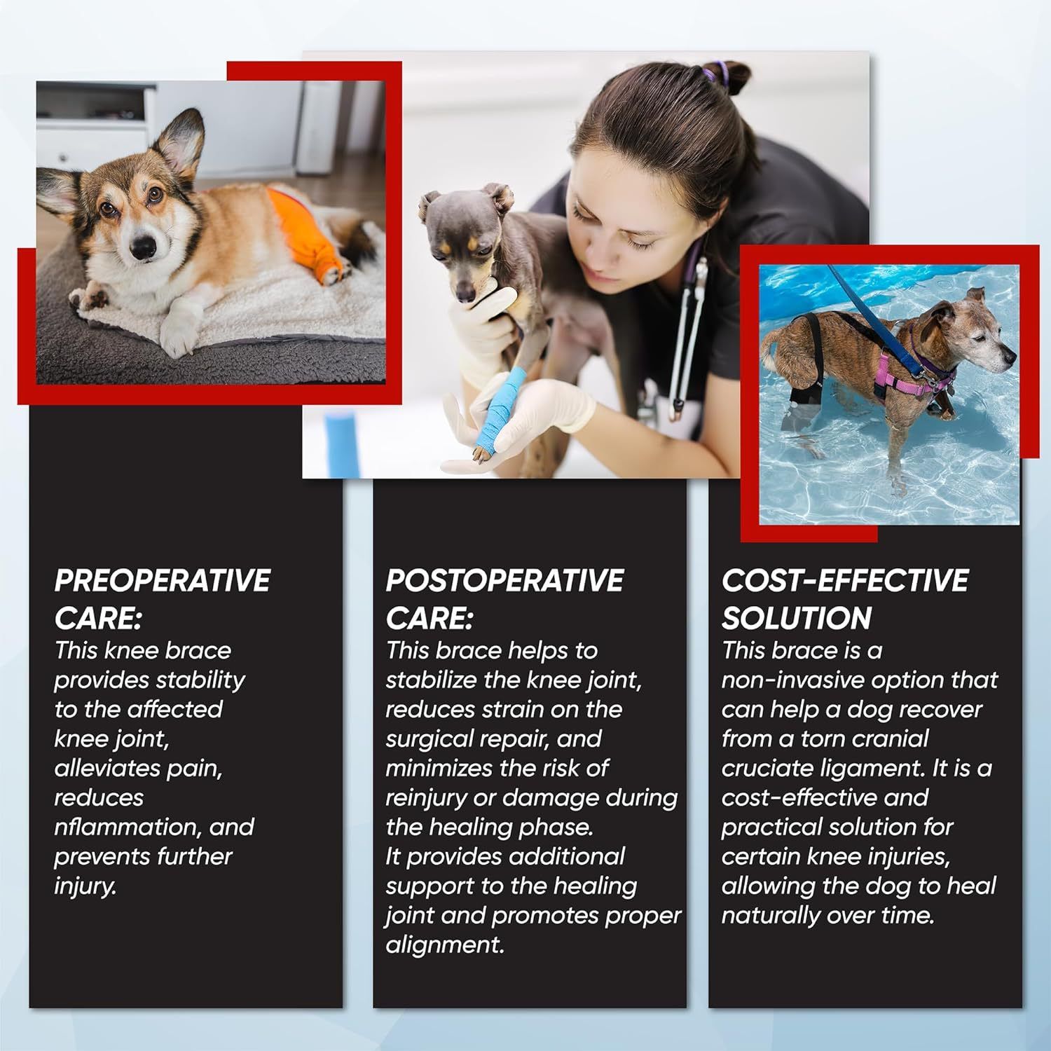 Dog Knee Brace Dog Brace Hind Leg Dog Knee Brace with Extra Collar and Support Treats Kneecap Dislocation Arthritis（S） - Image 4