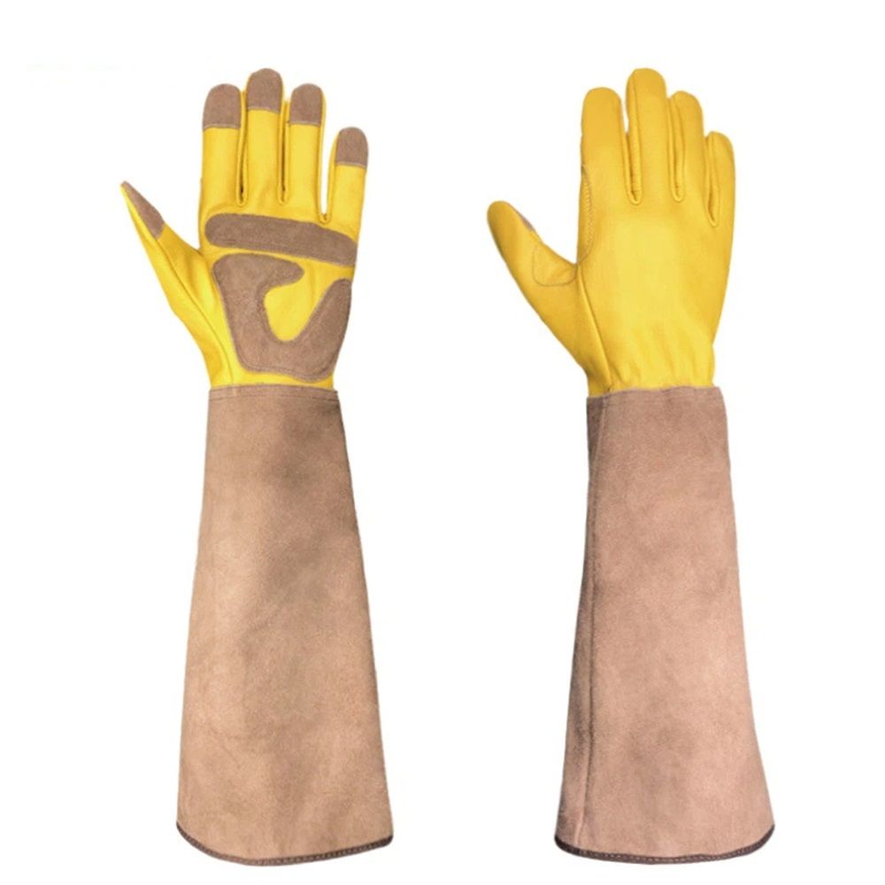 Long Gardening Gloves for Women Thorn Proof,Rose Pruning Cowhide Leather Garden Gloves for Cactus, Rose and Blackberry (L) - Image 1