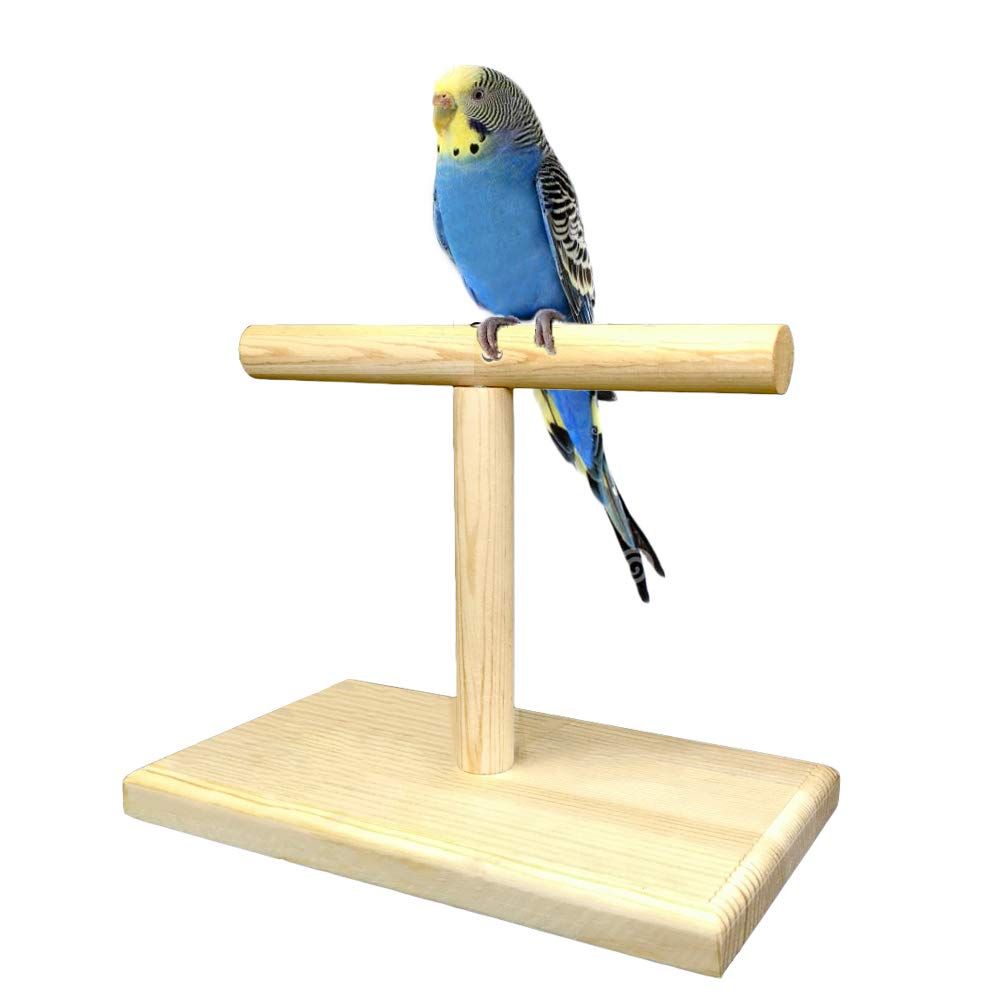 Small Bird Perch,Bird Play Stand,Portable Training Parrot Playstand, Bird Cage Toys for Cockatiels Conures Parakeet Finch Lovebirds - Image 1