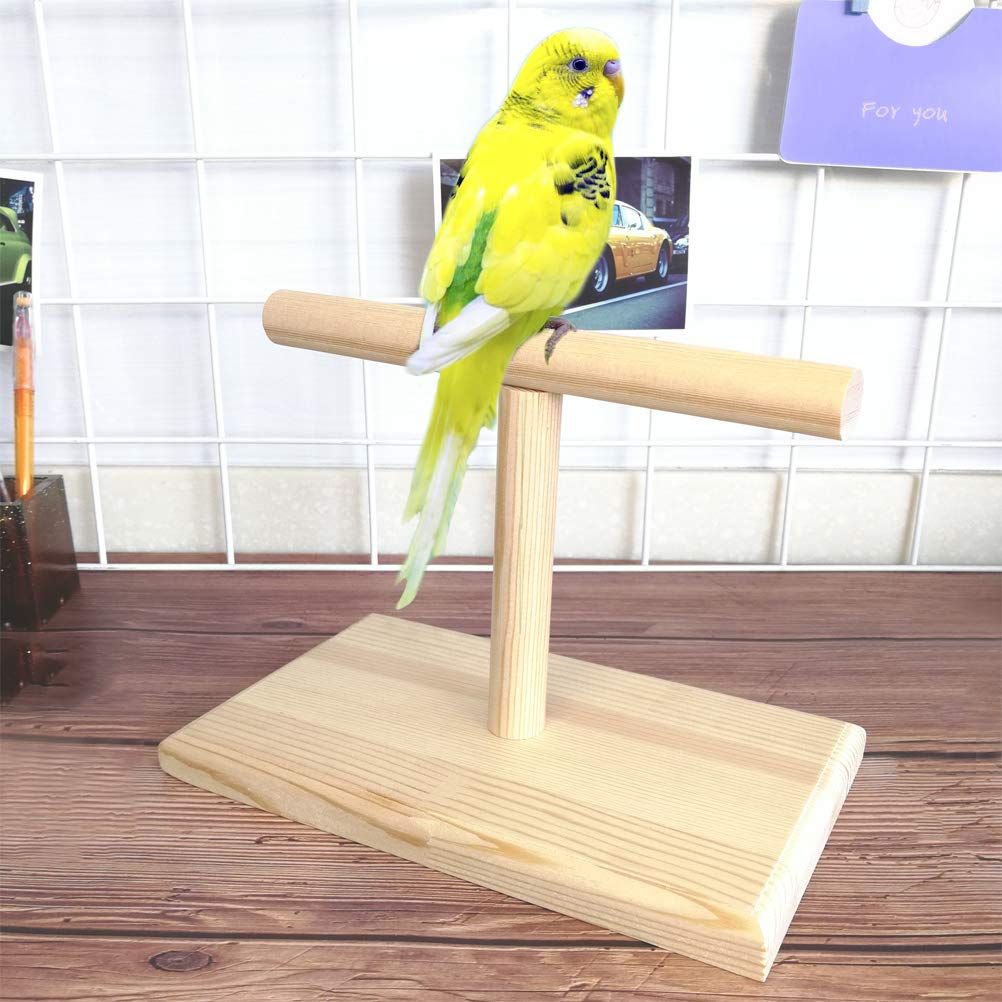 Small Bird Perch,Bird Play Stand,Portable Training Parrot Playstand, Bird Cage Toys for Cockatiels Conures Parakeet Finch Lovebirds - Image 2