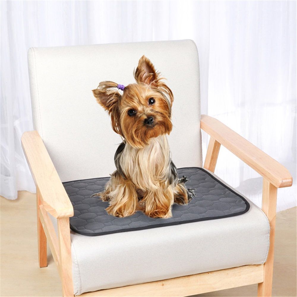 Waterproof Dog Bed Cover Pet Blanket for Furniture Bed Couch Sofa Reversible (40x52 Inch (Pack of 1), Darkgrey) - Image 5