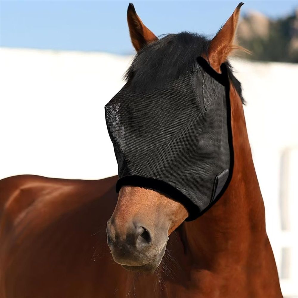 All Round Mesh Horse Fly Mask UV Protective with Padded Edging Black, Riding Equestrian Equipment for Horse - Image 4