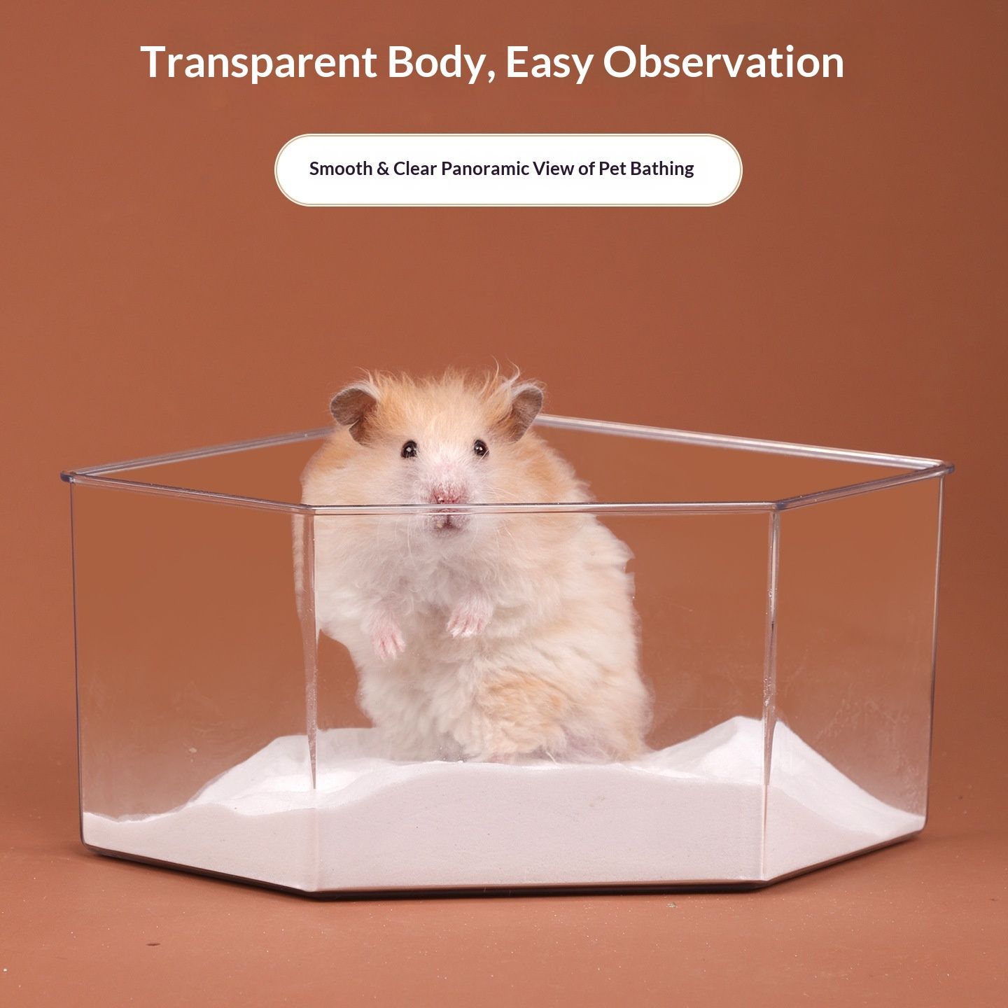Large transparent small animal sand bath container and hamster accessories with natural wooden lid, suitable for hamsters, mice, and lemurs. .. (Triangle) - Image 2