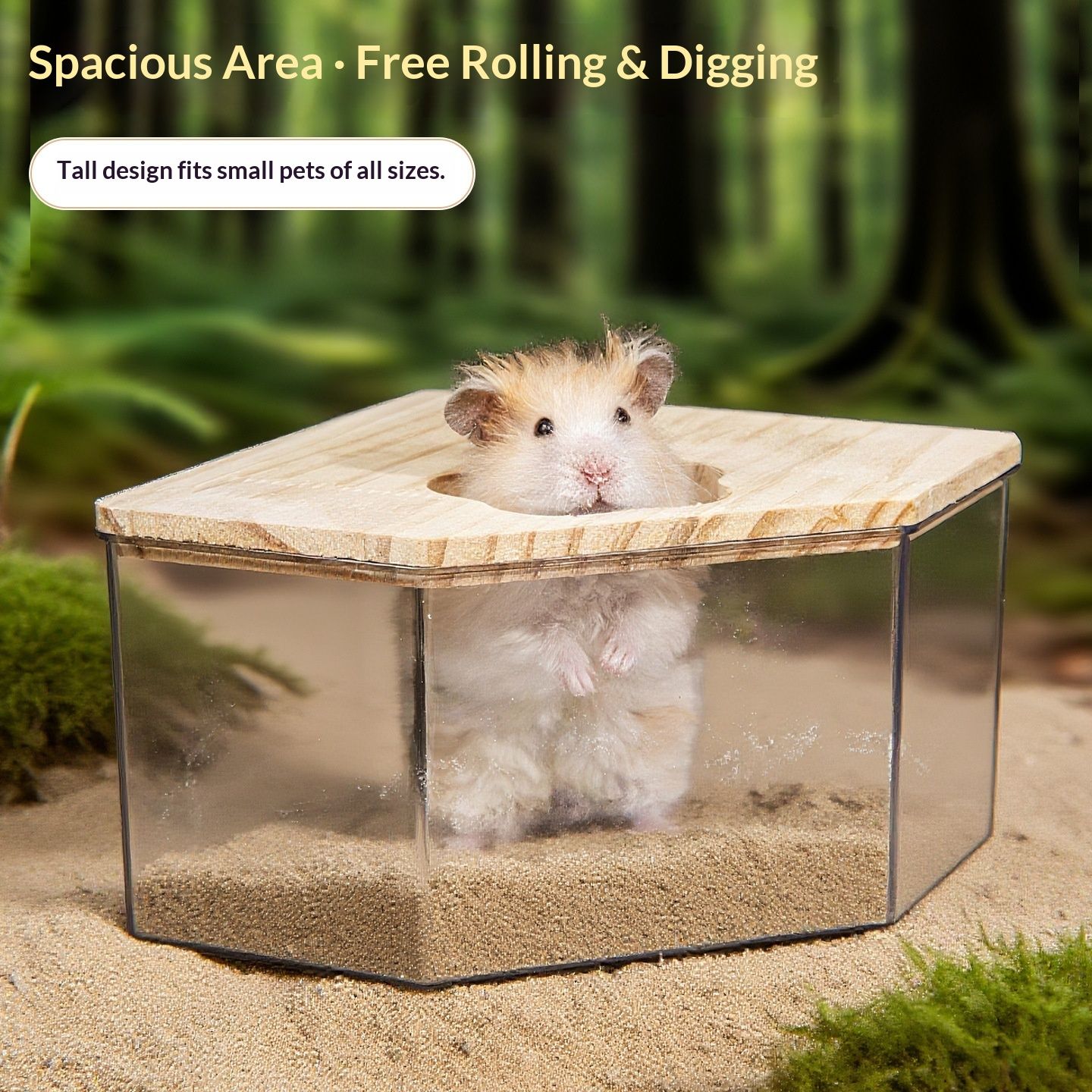 Large transparent small animal sand bath container and hamster accessories with natural wooden lid, suitable for hamsters, mice, and lemurs. .. (Triangle) - Image 3