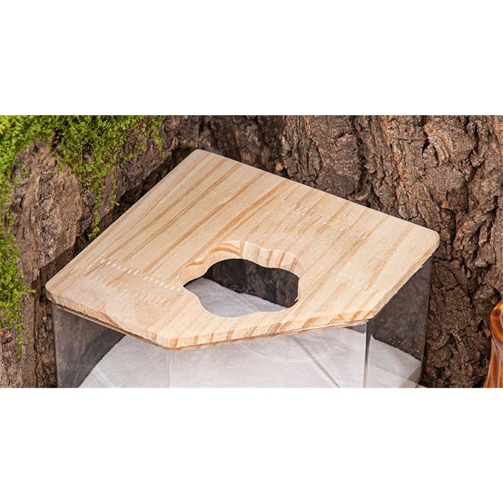 Large transparent small animal sand bath container and hamster accessories with natural wooden lid, suitable for hamsters, mice, and lemurs. .. (Triangle) - Image 4