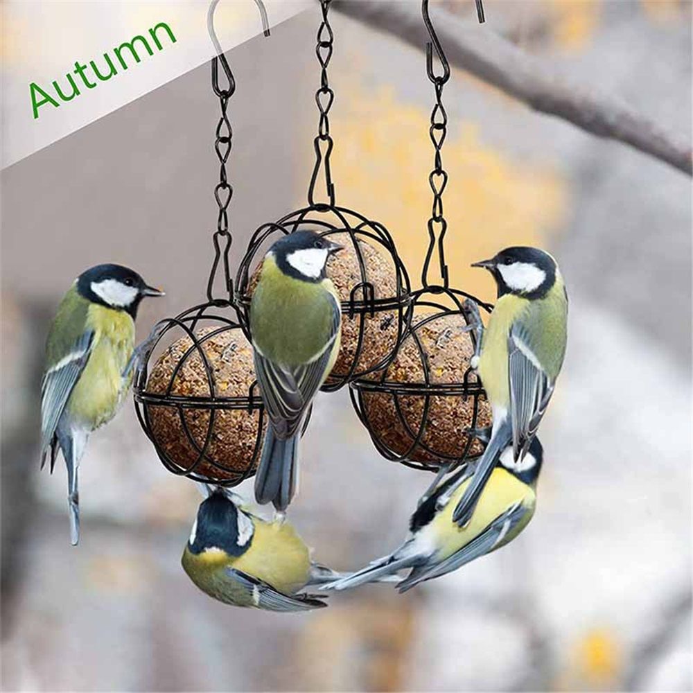 8Pcs Metal Hummingbird Feeders for Outdoors Hanging - Round Suet Ball Squirrel Proof Bird Feeders, Bird Watching Gifts for Wild Birds Outdoor Garden Window (Black) - Image 5