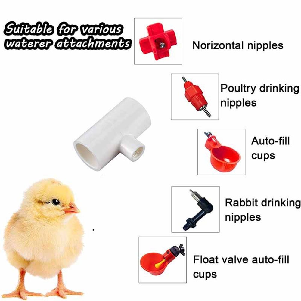 20 Pack Chicken Waterer PVC Tee Fittings - Fully Automatic for Threaded Chicken Waterer Nipples/Cups/Feeders/Poultry Water Drinker, White - Image 2