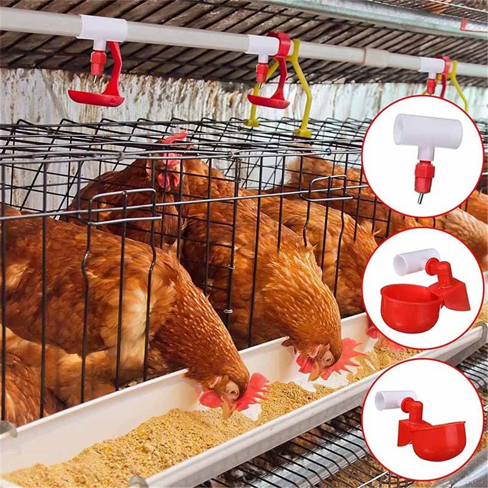 20 Pack Chicken Waterer PVC Tee Fittings - Fully Automatic for Threaded Chicken Waterer Nipples/Cups/Feeders/Poultry Water Drinker, White - Image 4