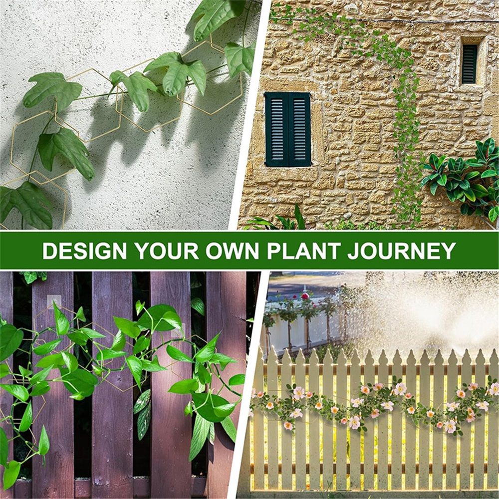 Chain Trellis for Climbing Plants - Indoor & Outdoor House Plant Accessories  More | Garden Wall Trellis and Plant Vine Support - Houseplant Accessories and Plant Gifts（18pcs） - Image 5
