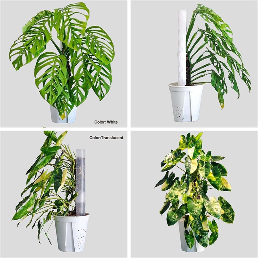 17 Inch 6 Pcs Plastic Moss Pole for Plants , 17*3'' Plant Poles for Climbing Plants, Plant Support for Indoor Plants Work with Sphagnum Moss - Image 4