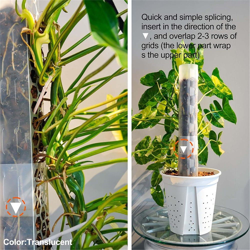 17 Inch 6 Pcs Plastic Moss Pole for Plants , 17*3'' Plant Poles for Climbing Plants, Plant Support for Indoor Plants Work with Sphagnum Moss - Image 5