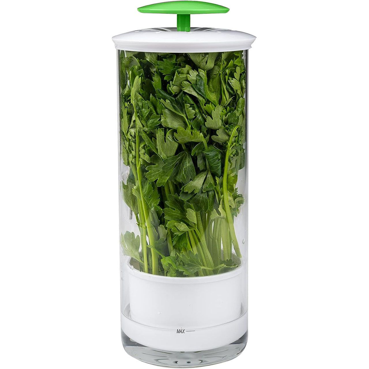 Herb Keeper and Herb Saver – Glass Storage Container for Cilantro, Mint, Parsley, Asparagus, Keeps Greens Fresh for 2-3 Weeks（green） - Image 1