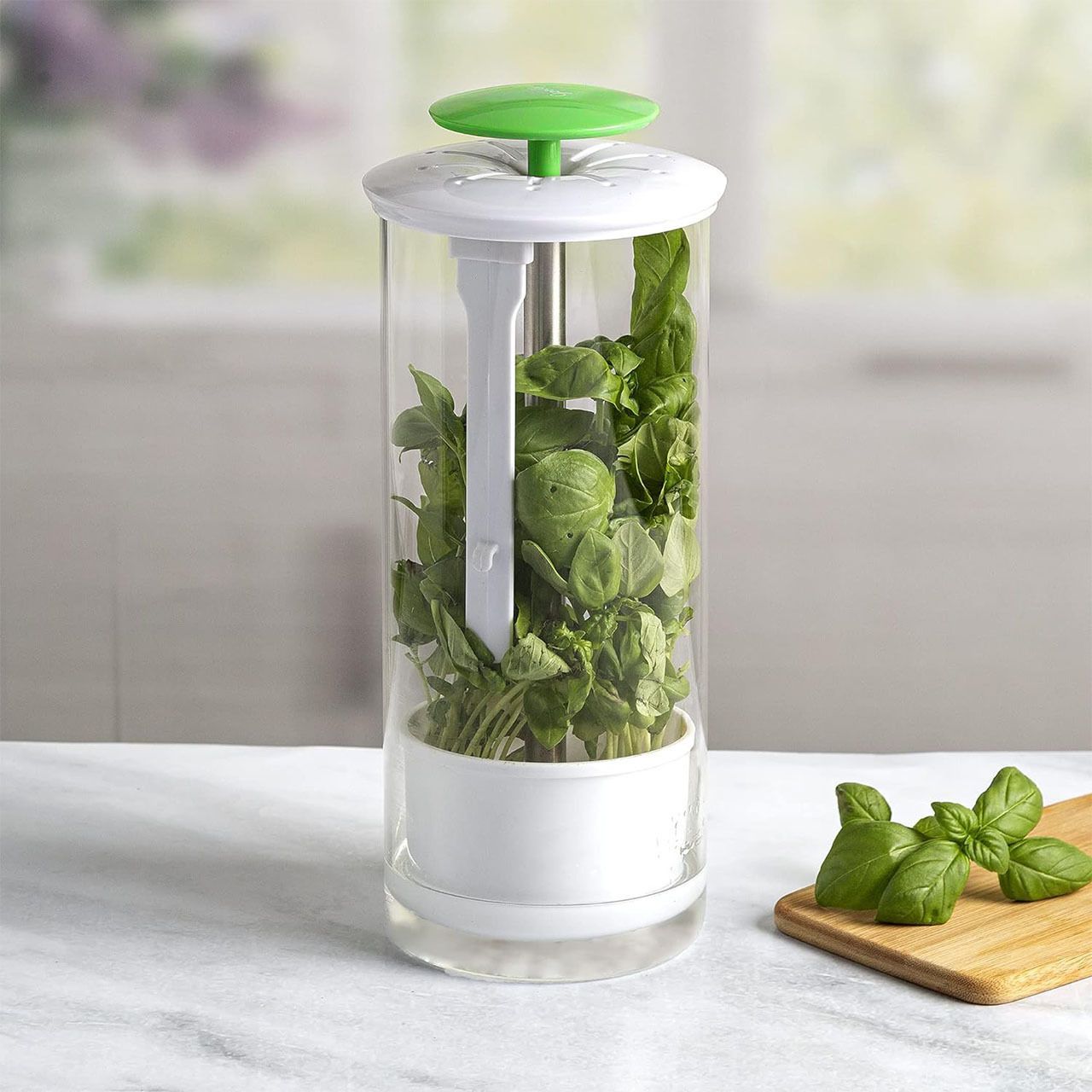 Herb Keeper and Herb Saver – Glass Storage Container for Cilantro, Mint, Parsley, Asparagus, Keeps Greens Fresh for 2-3 Weeks（green） - Image 2