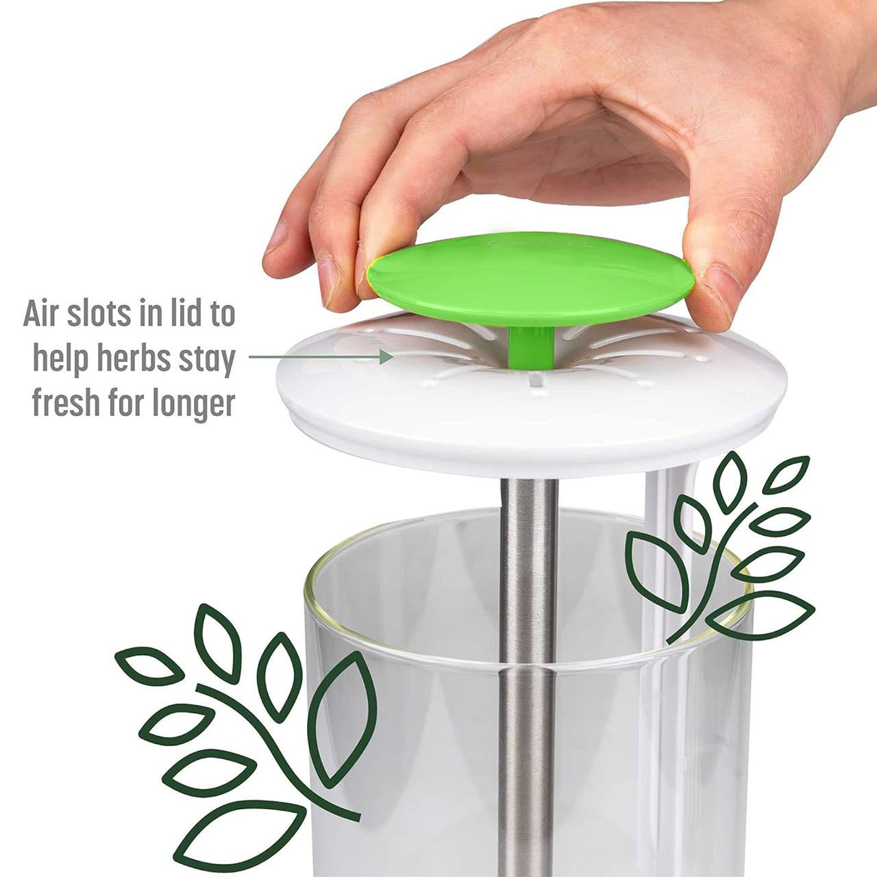 Herb Keeper and Herb Saver – Glass Storage Container for Cilantro, Mint, Parsley, Asparagus, Keeps Greens Fresh for 2-3 Weeks（green） - Image 3