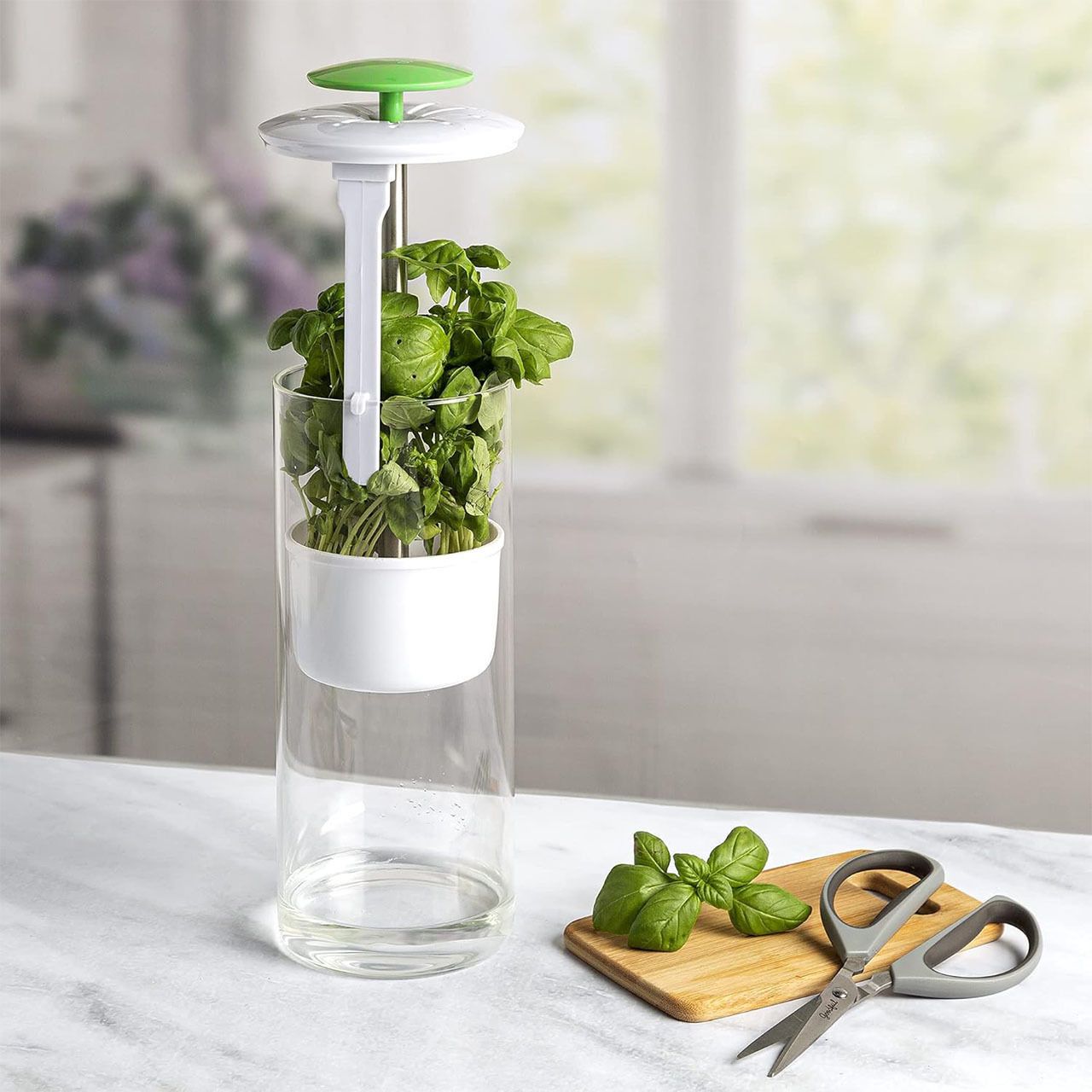 Herb Keeper and Herb Saver – Glass Storage Container for Cilantro, Mint, Parsley, Asparagus, Keeps Greens Fresh for 2-3 Weeks（green） - Image 4