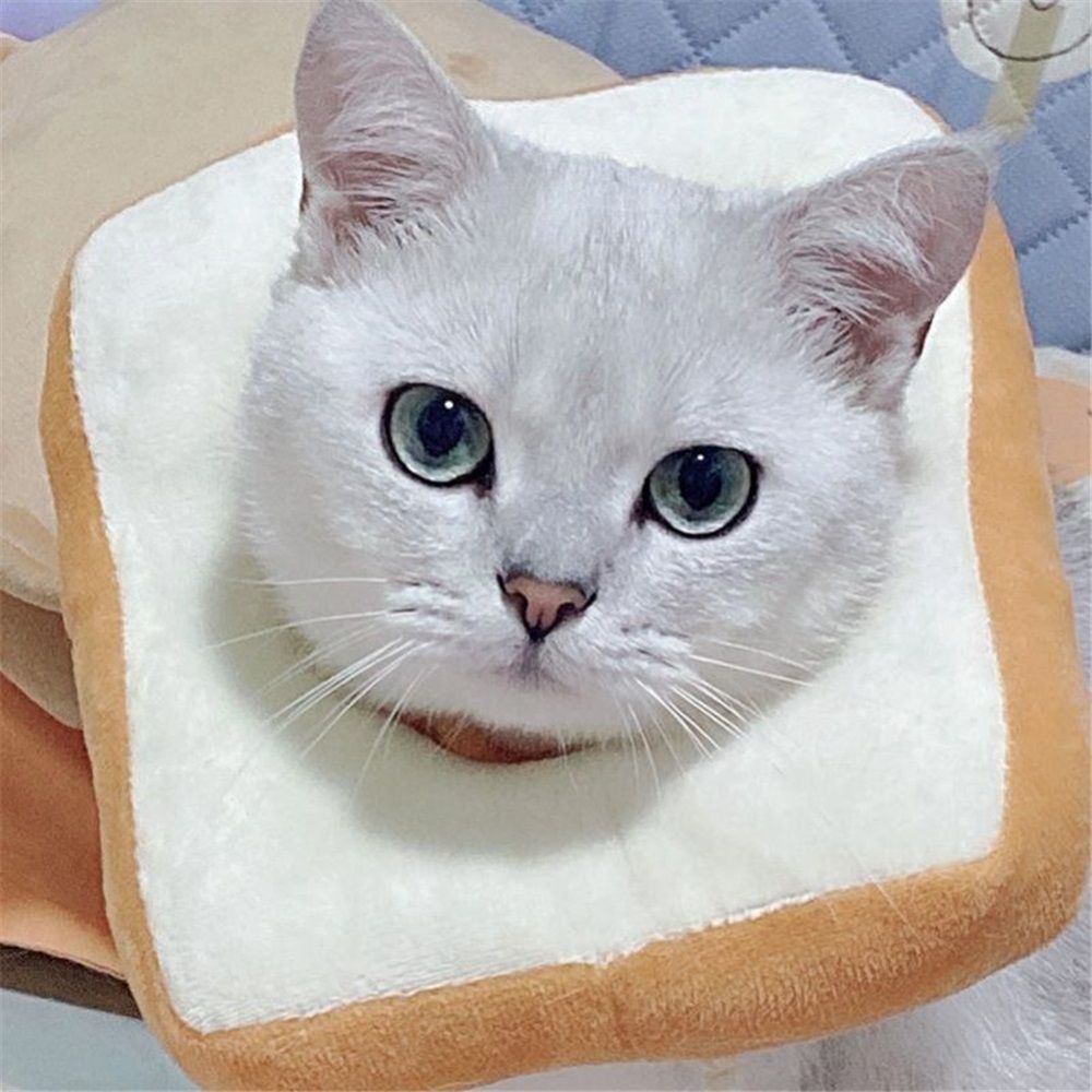 Dog cushion ring and neck cone heal faster, soft pet cat and dog donuts avoid scratches and touch stitching（M） - Image 2