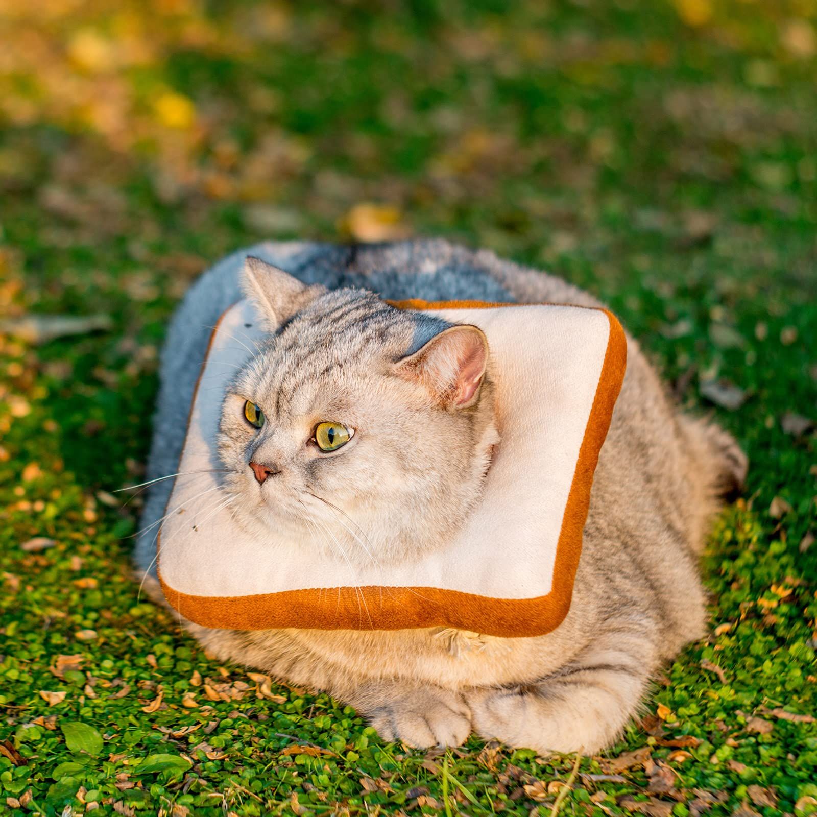 Dog cushion ring and neck cone heal faster, soft pet cat and dog donuts avoid scratches and touch stitching（M） - Image 5