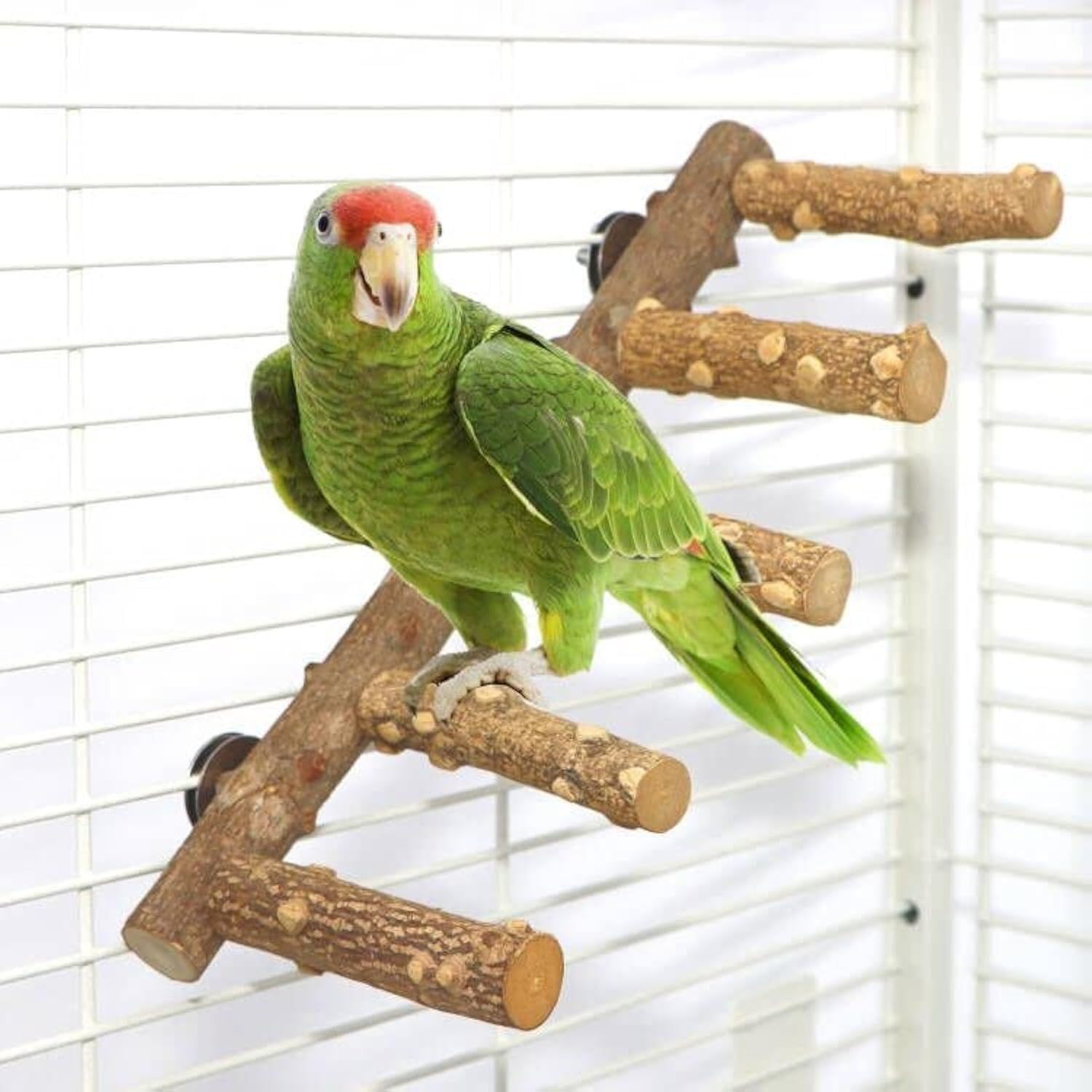 Bird Ladder Perch Cage Nature Wood Stand Parrot Chew Toy for Small Medium Parrot Animal - Image 2