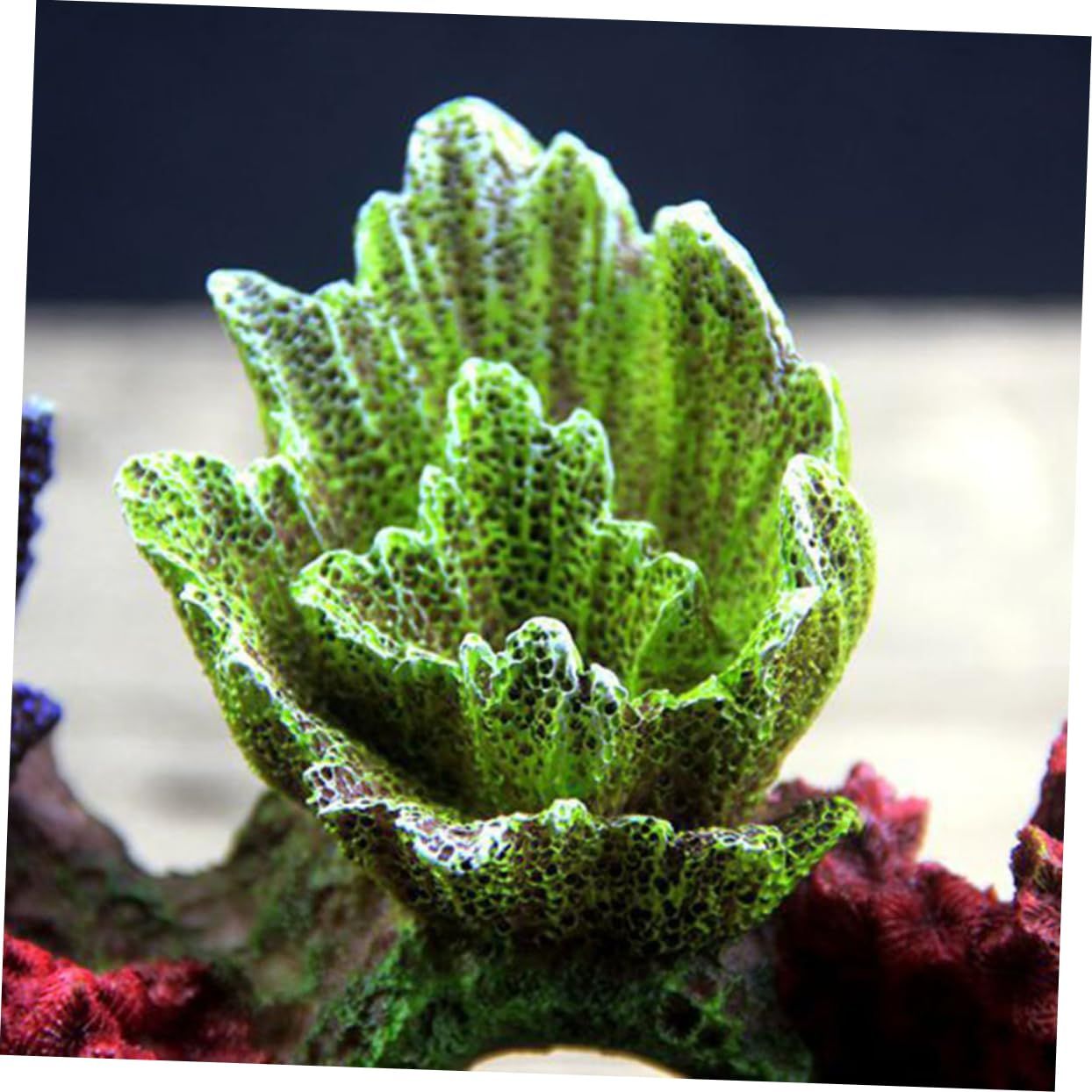 1pc Simulative Coral Reef Aquarium Decoration Fish Tank Ornament for Underwater Landscape and Design for Fish Shelter and Entertainment - Image 5