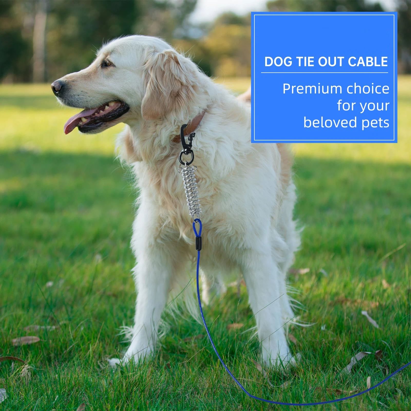 3m Dog Tie Out Cable with Spring, Shock Absorbing Tether Chains for Outside Aavilable in  Heavy Duty Leads for Yard for Medium & Large Dogs Up  , Blue - Image 2