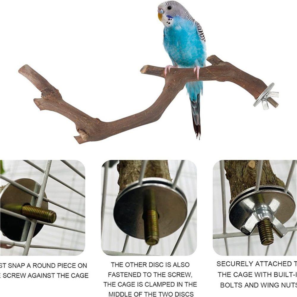 5PCS Bird Perch Stand Natural Wooden Parrot Stand Branch,3 Grape Wood Perch,2 Stand,Paw Grinding Fork Parakeet Chewing Stick Exercise Training （25cm） - Image 4