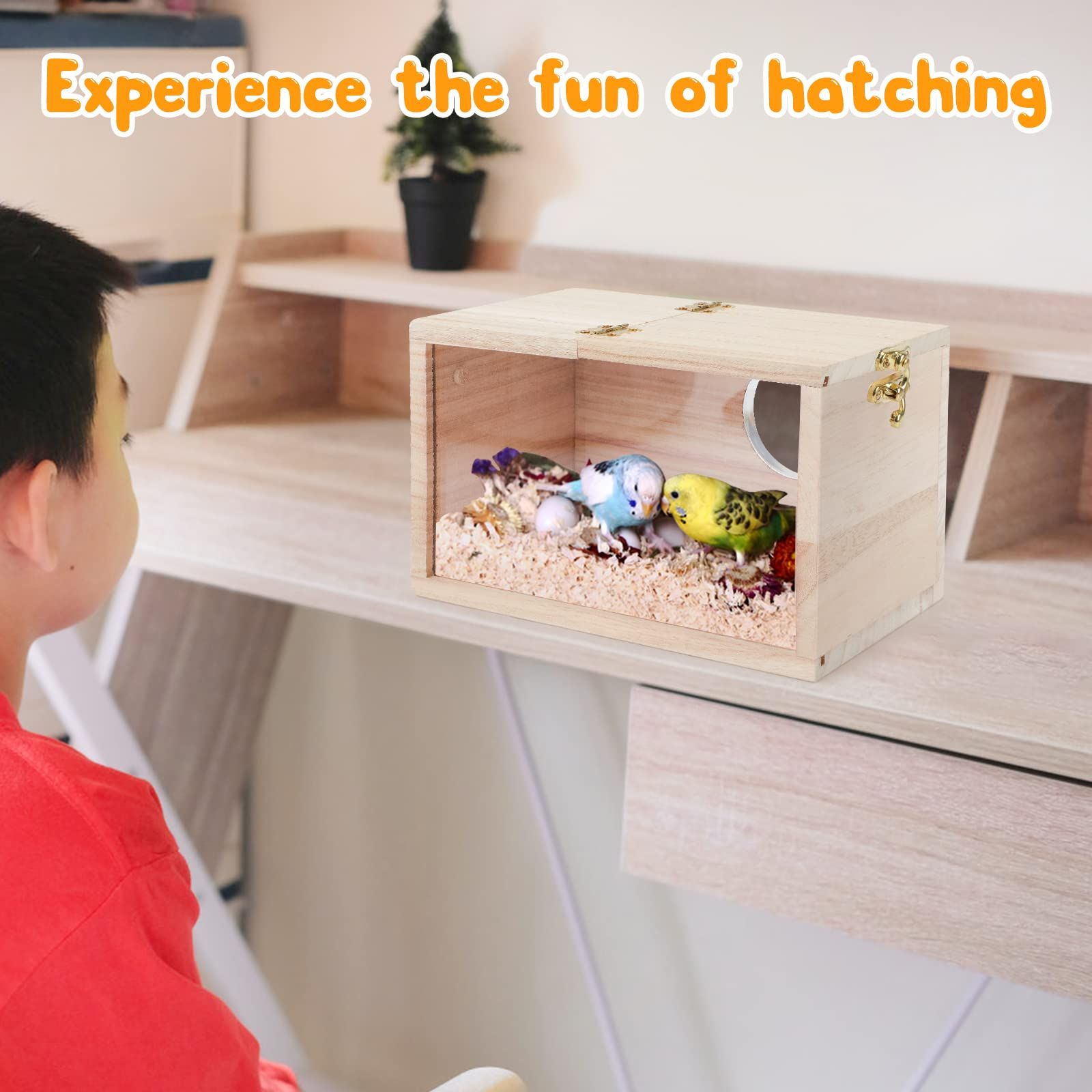 Parakeet Nesting Box Transparent Design,  Bird Nest Breeding Box with  Wood Bird Cage House for Cockatiel Lovebirds  Finch Parrotlets Canary （12*12*19.5） - Image 2