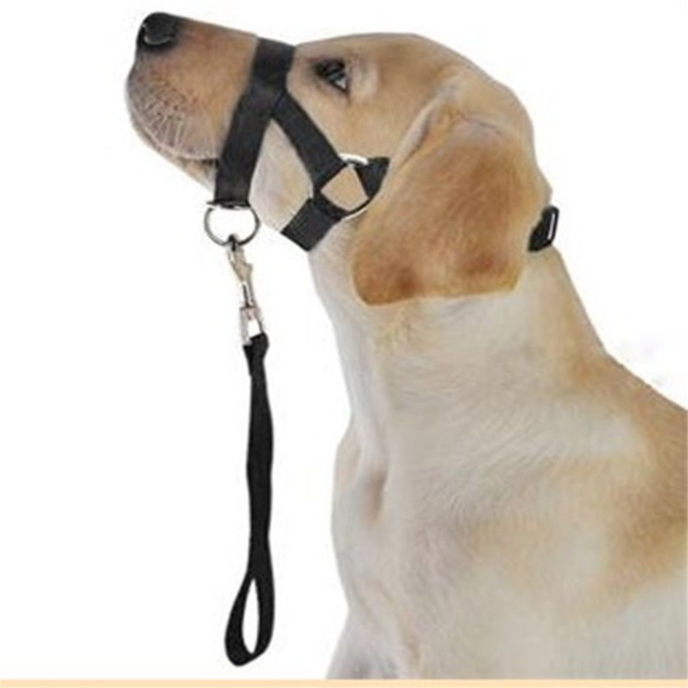 No-Pull Dog Headcollar for Large Dogs (Agressive/Reactive Dogs; Instant Stop Pulling; Gentle Training Collar for Dogs; Comfortable, Safe, and Effective Walking/Training Solution (Black, S) - Image 1
