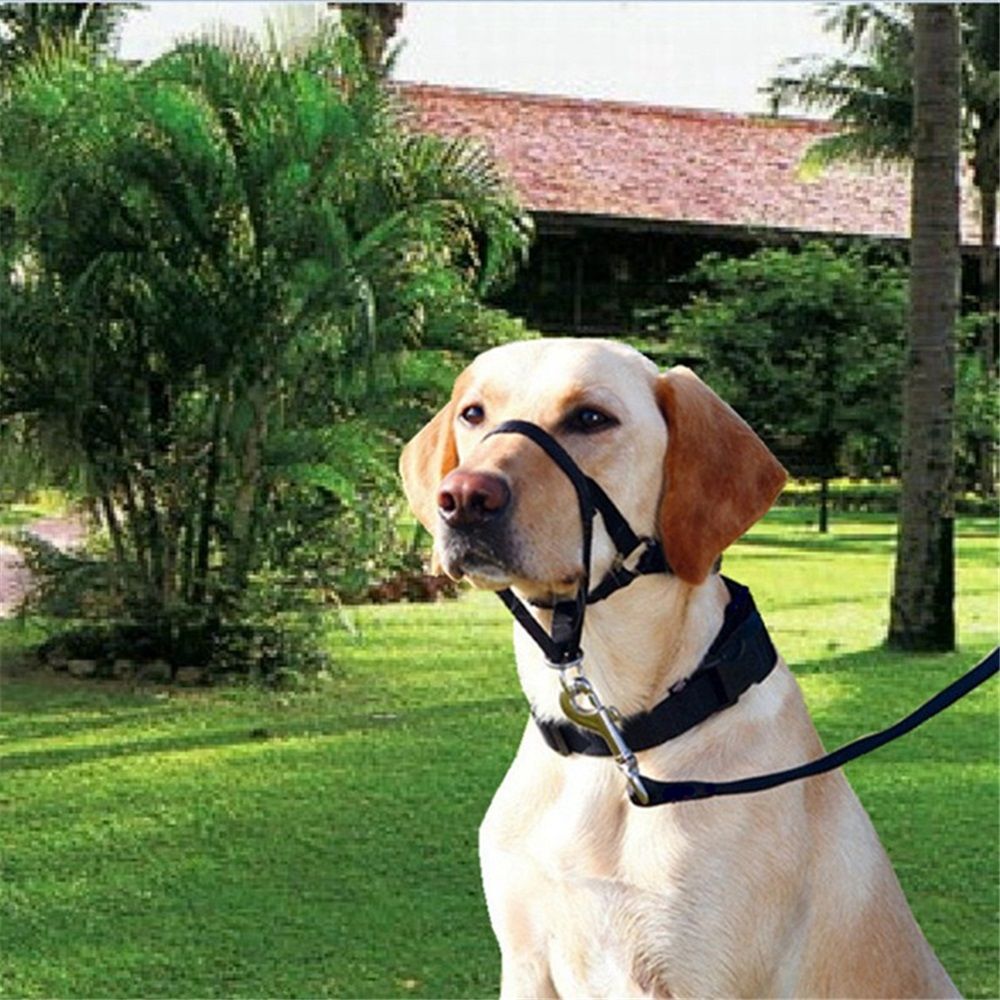 No-Pull Dog Headcollar for Large Dogs (Agressive/Reactive Dogs; Instant Stop Pulling; Gentle Training Collar for Dogs; Comfortable, Safe, and Effective Walking/Training Solution (Black, S) - Image 2