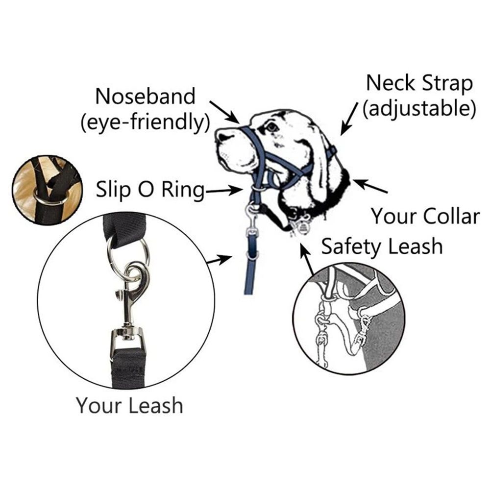 No-Pull Dog Headcollar for Large Dogs (Agressive/Reactive Dogs; Instant Stop Pulling; Gentle Training Collar for Dogs; Comfortable, Safe, and Effective Walking/Training Solution (Black, S) - Image 4