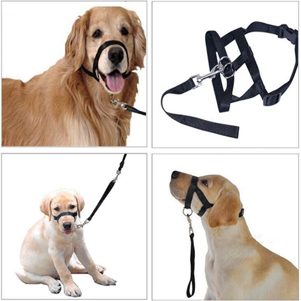 No-Pull Dog Headcollar for Large Dogs (Agressive/Reactive Dogs; Instant Stop Pulling; Gentle Training Collar for Dogs; Comfortable, Safe, and Effective Walking/Training Solution (Black, S) - Image 5