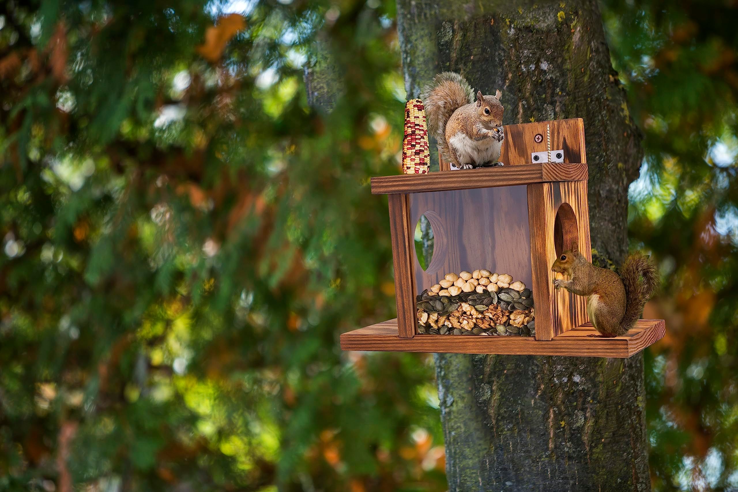 Wood Squirrel Feeder, Squirrel Feeders for Outside Winter, Wooden Chipmunk Feeder for Corn, Peanuts, Durable Box Easy to Fill with Removable Front Panel - Image 3