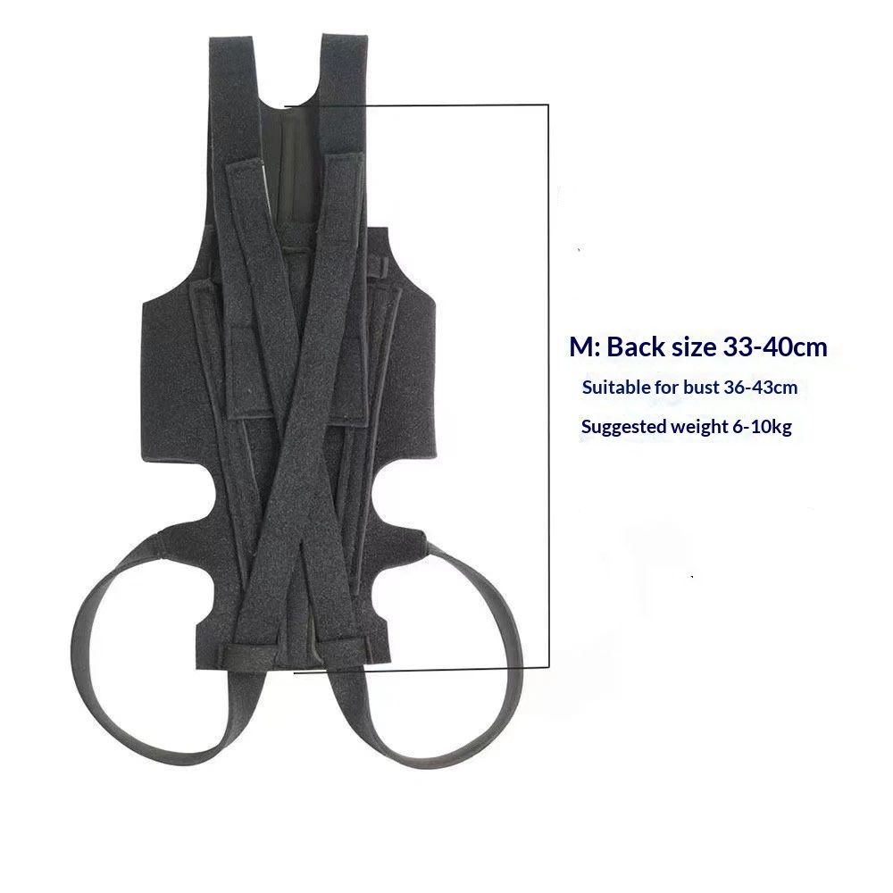 Dog Back Brace for Small Dogs - Adjustable Spinal Stability Brace, Comfortable for Senior or Less Mobile Small Dogs, Black M - Image 2