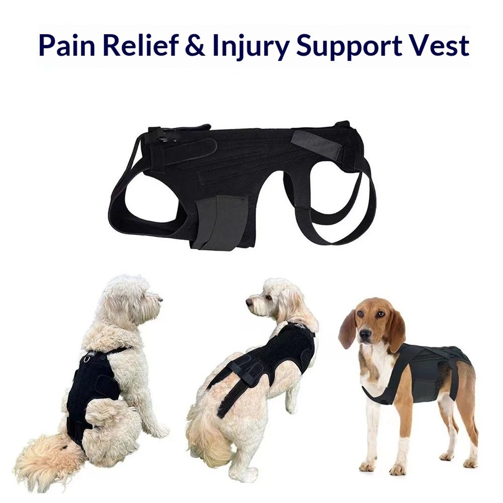 Dog Back Brace for Small Dogs - Adjustable Spinal Stability Brace, Comfortable for Senior or Less Mobile Small Dogs, Black M - Image 3