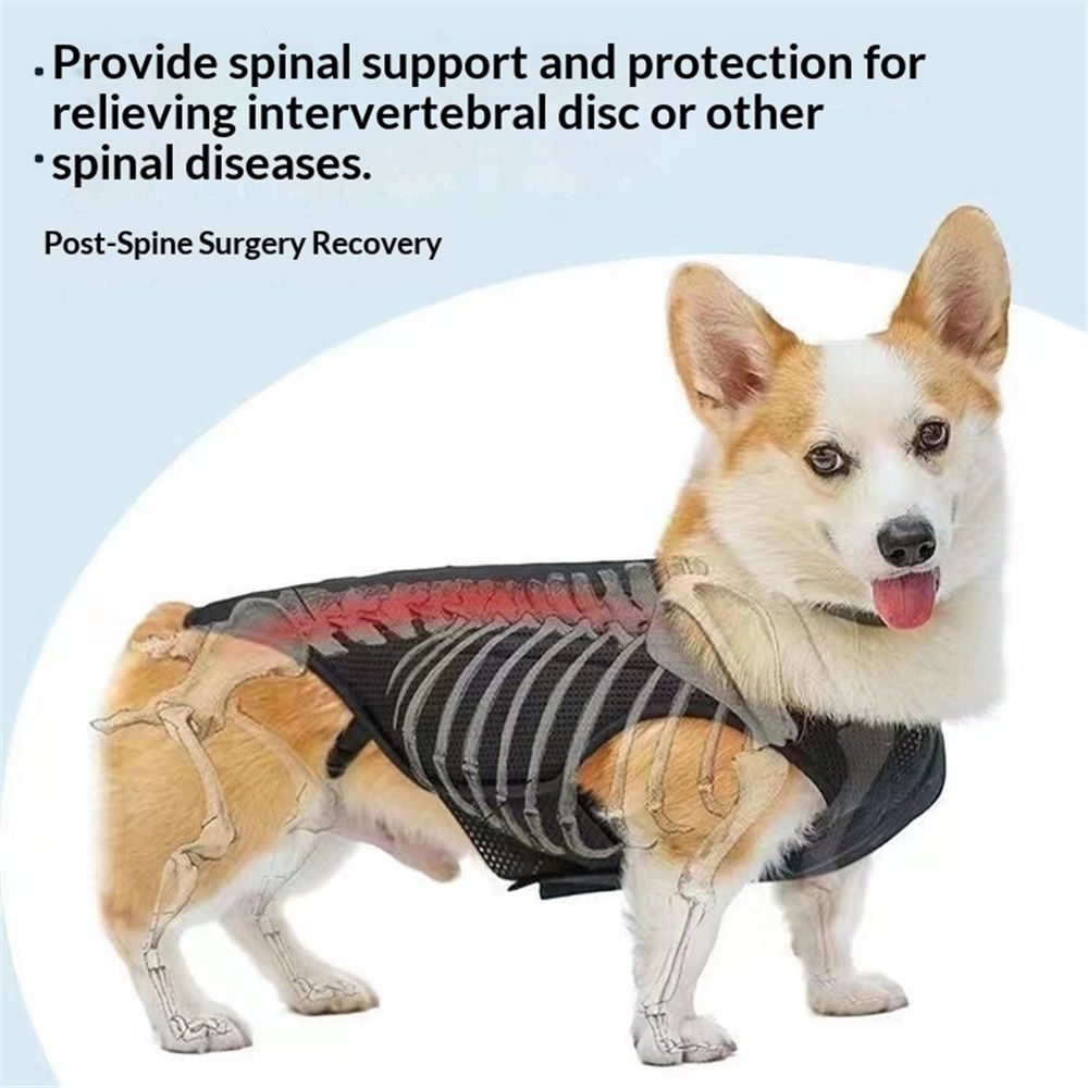 Dog Back Brace for Small Dogs - Adjustable Spinal Stability Brace, Comfortable for Senior or Less Mobile Small Dogs, Black M - Image 4