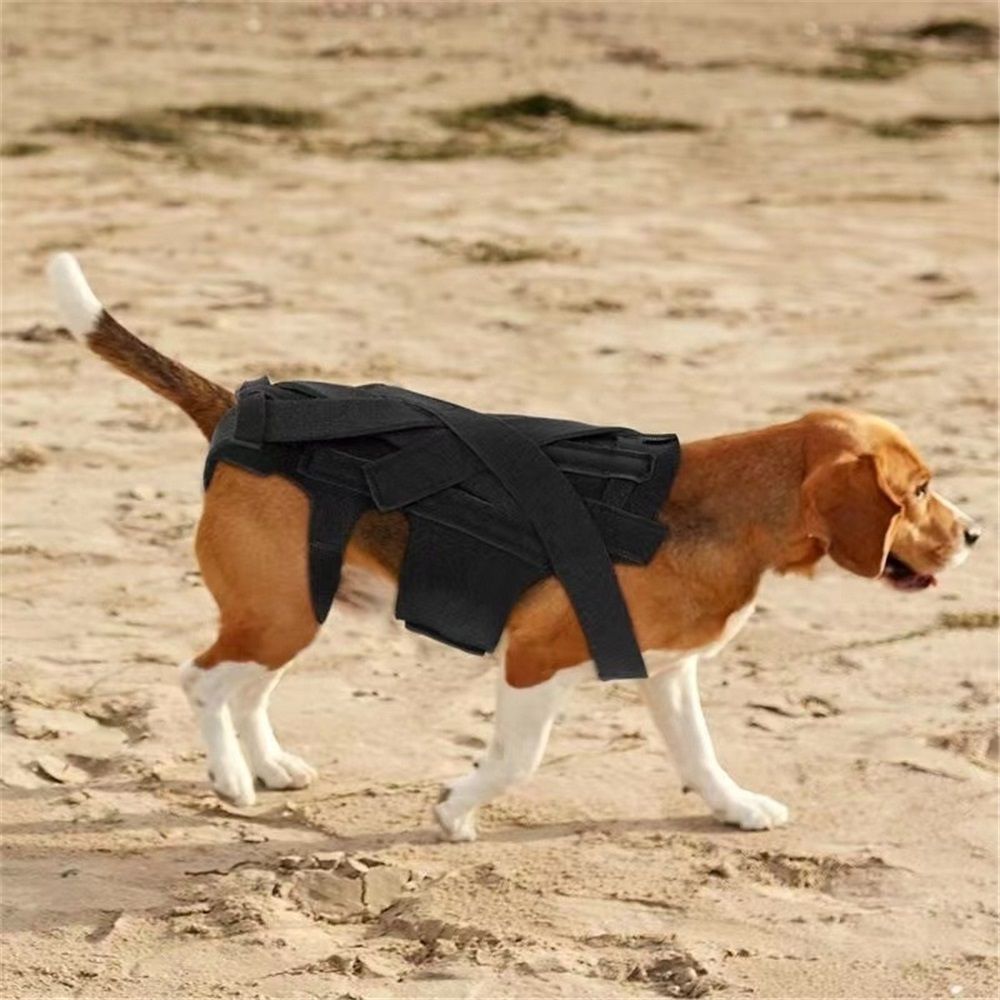 Dog Back Brace for Small Dogs - Adjustable Spinal Stability Brace, Comfortable for Senior or Less Mobile Small Dogs, Black M - Image 5