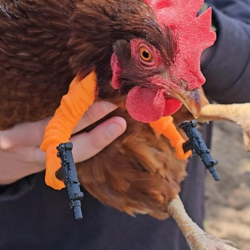 Chicken arms with Guns,Fun, Durable, Rooster Pistol Party, Perfect for Parties, Photoshoots and Pranks Costumes for Chickens to wear(orange) - Image 1