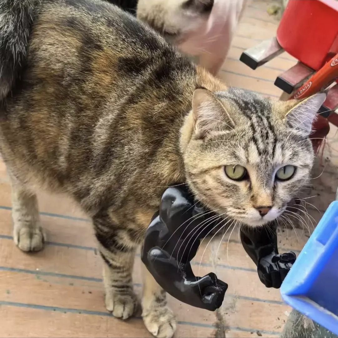 3D printed Hulk Cat Arm Black - Image 3