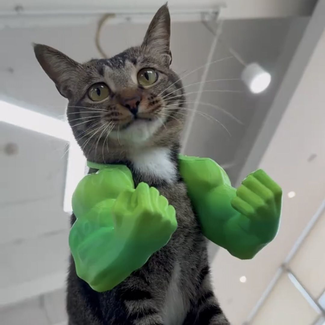 3D printed Hulk Cat Arm Skin Tone - Image 2