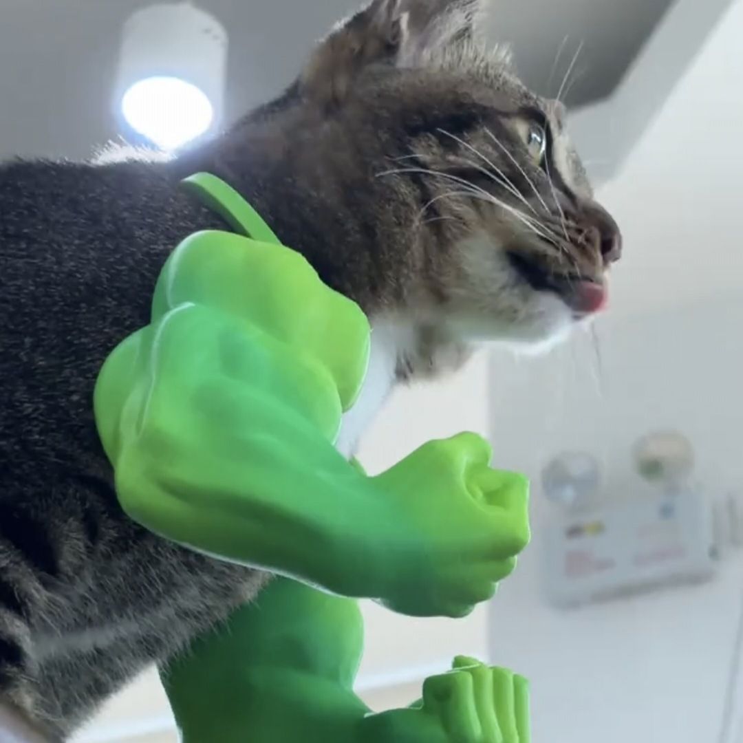 3D printed Hulk Cat Arm Skin Tone - Image 3