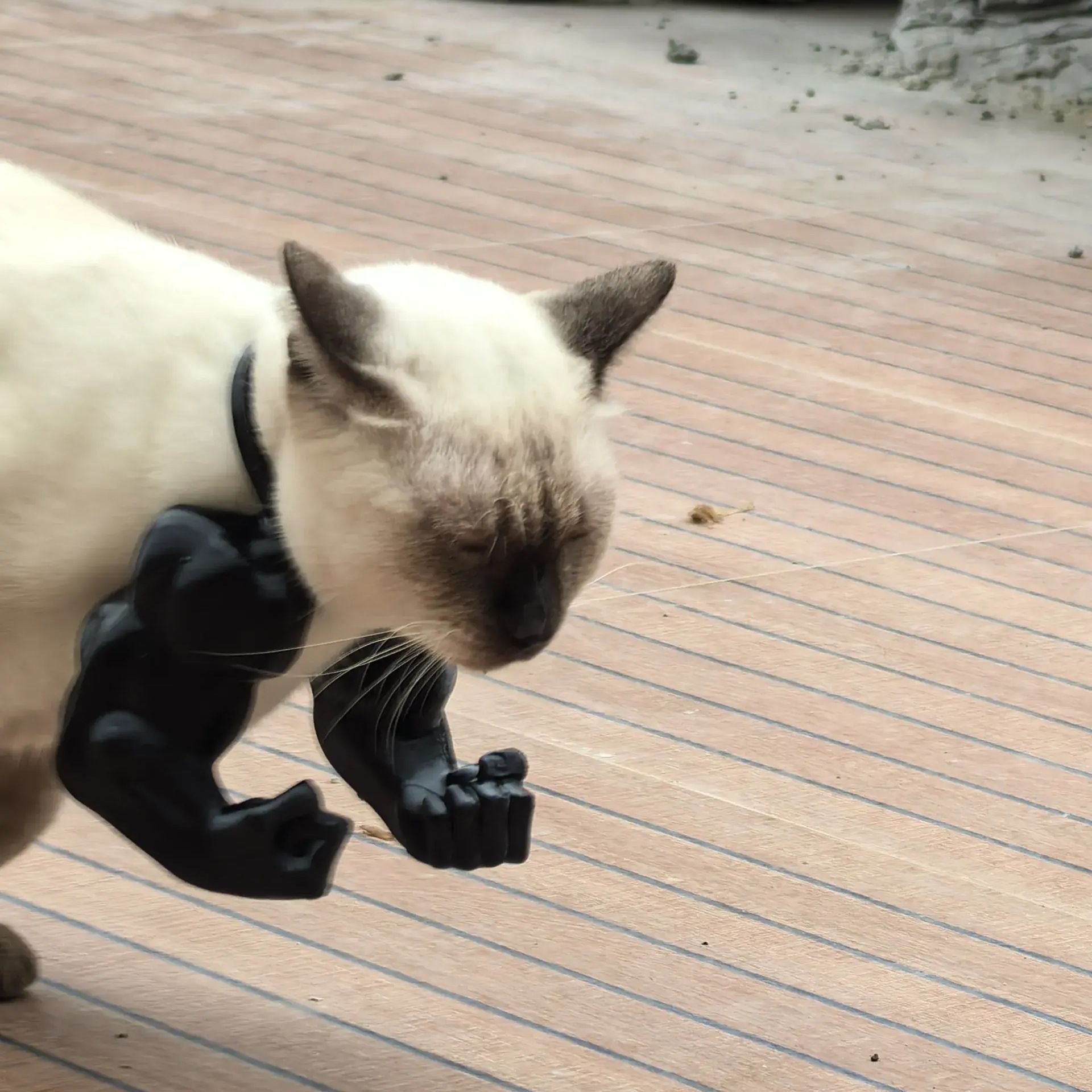 3D printed Hulk Cat Arm Skin Tone - Image 6